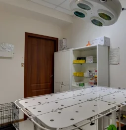 ветеринарная клиника био-вет в перово изображение 2 на проекте properovo.ru