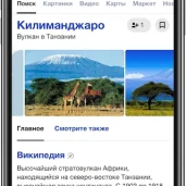 компания килиманждаро изображение 1 на проекте properovo.ru