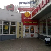 цветочный супермаркет цветочный ряд на 2-й владимирской улице изображение 7 на проекте properovo.ru