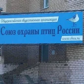 общероссийская общественная организация союз охраны птиц россии изображение 1 на проекте properovo.ru