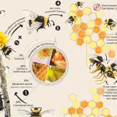 магазин продуктов пчеловодства тенториум изображение 3 на проекте properovo.ru