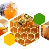 магазин продуктов пчеловодства тенториум изображение 5 на проекте properovo.ru