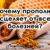 магазин продуктов пчеловодства тенториум изображение 8 на проекте properovo.ru