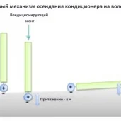 интернет-магазин eurocosmetics изображение 8 на проекте properovo.ru